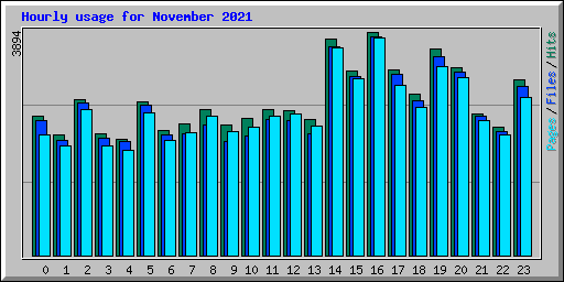Hourly usage for November 2021