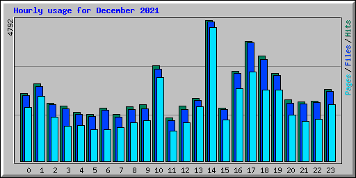 Hourly usage for December 2021