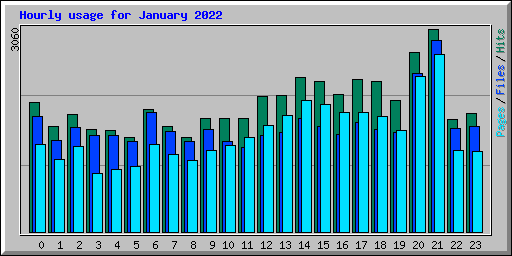 Hourly usage for January 2022