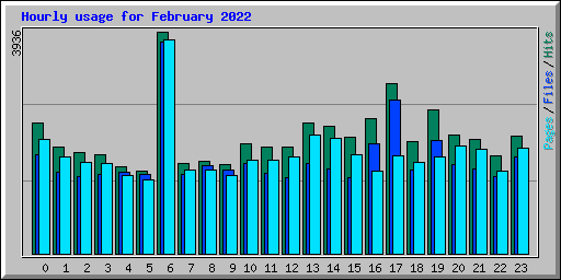 Hourly usage for February 2022