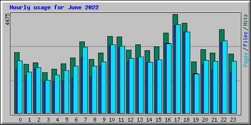 Hourly usage for June 2022