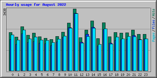 Hourly usage for August 2022
