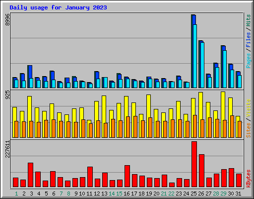 Daily usage for January 2023