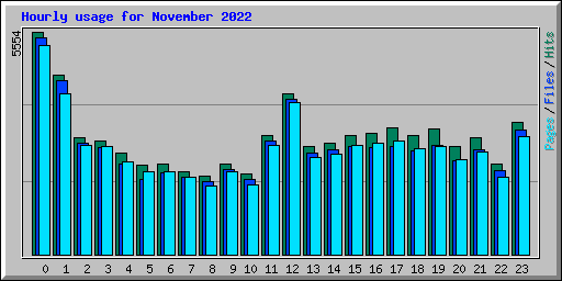 Hourly usage for November 2022