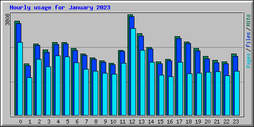 Hourly usage for January 2023