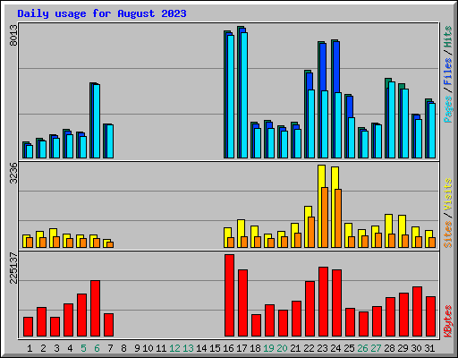 Daily usage for August 2023
