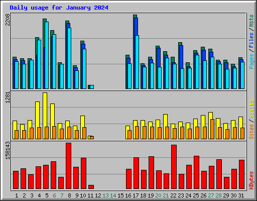 Daily usage for January 2024