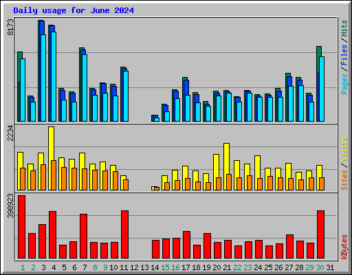 Daily usage for June 2024