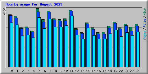 Hourly usage for August 2023