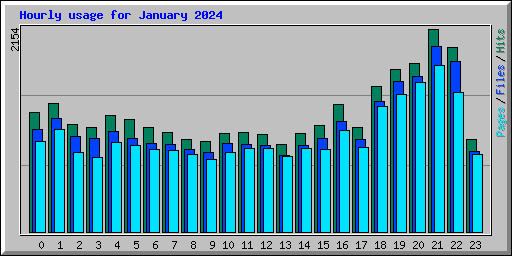 Hourly usage for January 2024