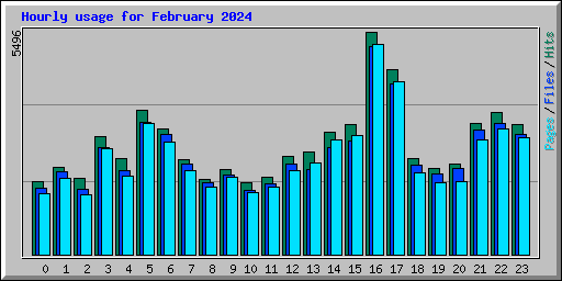 Hourly usage for February 2024