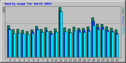 Hourly usage for March 2024