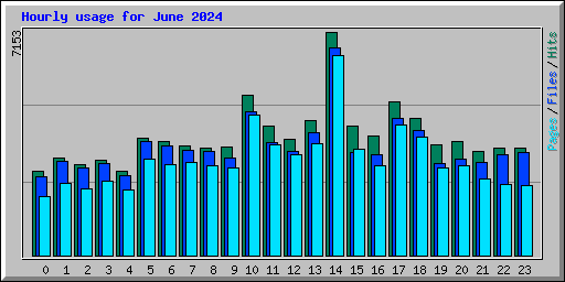 Hourly usage for June 2024