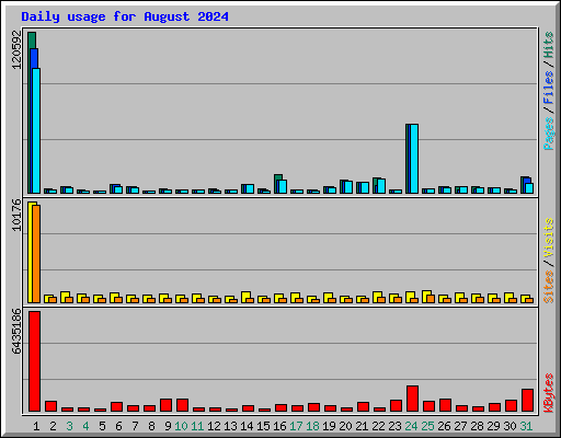 Daily usage for August 2024