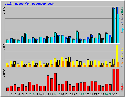 Daily usage for December 2024