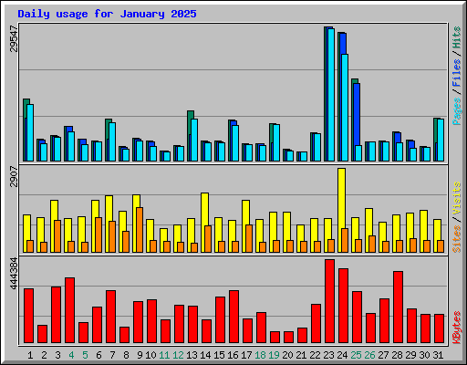 Daily usage for January 2025