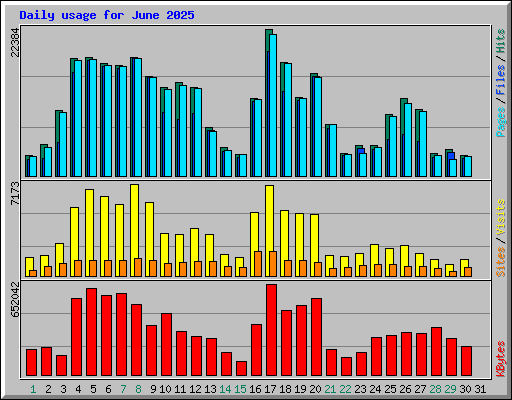 Daily usage for June 2025