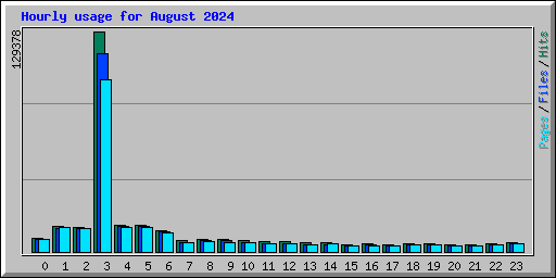 Hourly usage for August 2024