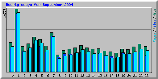 Hourly usage for September 2024