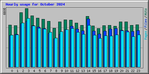 Hourly usage for October 2024
