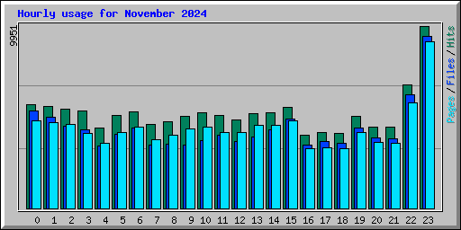 Hourly usage for November 2024