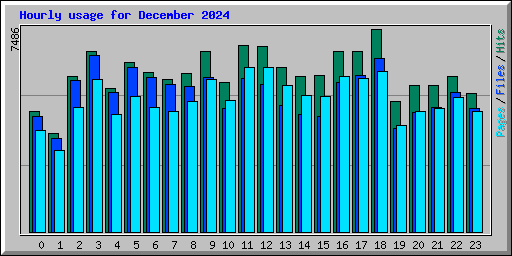 Hourly usage for December 2024
