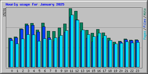 Hourly usage for January 2025