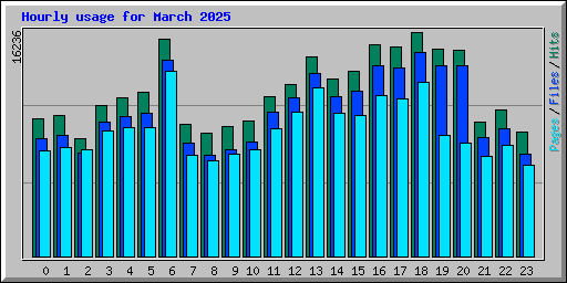 Hourly usage for March 2025