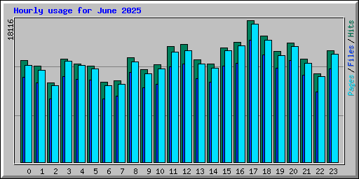 Hourly usage for June 2025